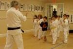 Sensei Teaching Youth Karate Class